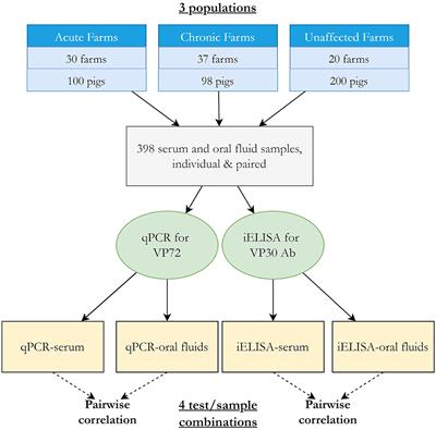 Modeling the accuracy of a novel PCR and antibody ELISA for African swine fever virus detection using Bayesian latent class analysis